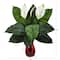 24" Spathiphyllum Artificial Plant in Ruby Planter